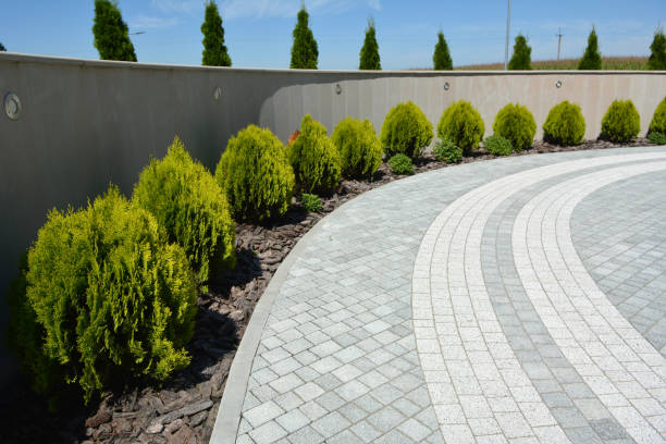 Best Brick Driveway Pavers  in Clayton, MO